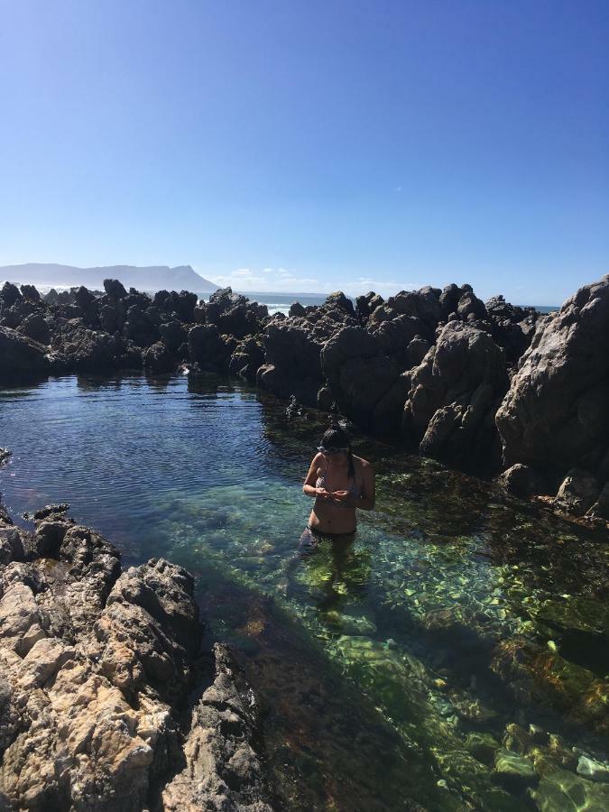 Rondawel With Sea View Apartment Kleinmond Exterior foto